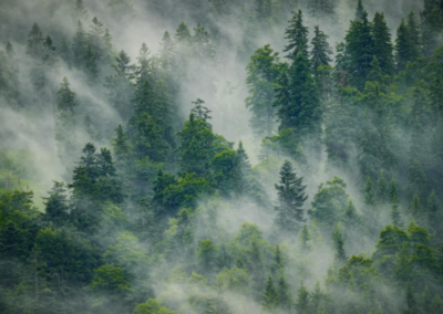 Nous ne voyons pas le monde tel qu’il est. Nous le voyons tel que nous sommes.