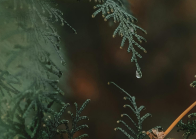 Traverser, revenir, choisir.